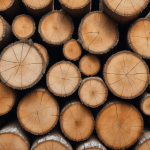 Como decorar un tronco de arbol seco